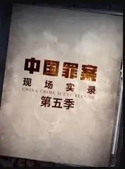 《罪案现场实录第五季》：真相迷雾，谁是幕后黑手？