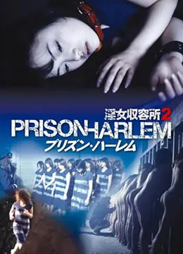 《淫女收留所2》：更黑暗的欲望深渊？揭秘背后的秘密与争议！