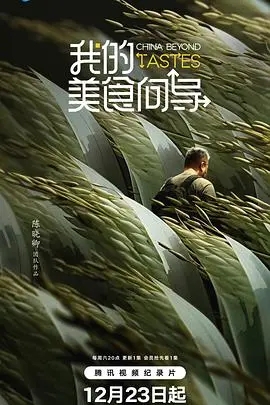 《我的美食向导》：味蕾之旅，更是心灵的疗愈！美食、爱情与人生的暖心碰撞