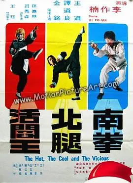 《南拳北腿活阎王》：武打片黄金时代的绝唱，硬桥硬马的功夫传奇！